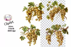 Grapes, Ephemera, PNG, Junk Journal, Vintage, clipart Product Image 1