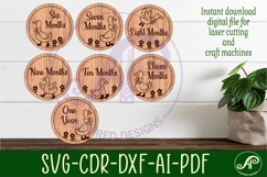 Goose themed Baby monthly milestone discs SVG laser engraved Product Image 3