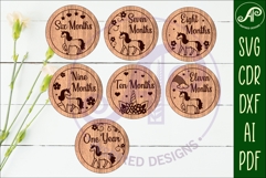 Baby monthly milestone discs SVG Unicorns theme Product Image 3