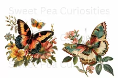 Butterfly, Ephemera, PNG, Junk Journal, Vintage, clipart Product Image 3