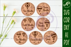 Hot Air Balloon themed Baby monthly milestone discs SVG Product Image 3
