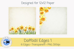 Daffodil PNG Clipart Edges/Borders 1 Product Image 4