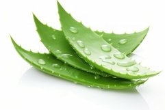 Moisturizing aloe vera leaves. Generate Ai Product Image 1