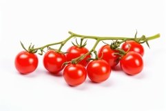 Branch cherry tomatoes. Generate Ai Product Image 1