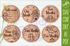Cute Baby Dragon Milestone Discs, Monthly Baby Photo Props, Product Image 3