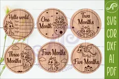 Cute Baby Dragon Milestone Discs, Monthly Baby Photo Props, Product Image 3