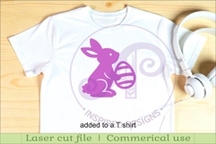 Spring / Easter silhouettes laser cut outs SVG 1 Product Image 3