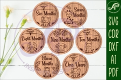 Cute Safari Animal Baby monthly milestone discs SVG Product Image 3