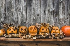 banner design collection of autumn pumpkins for halloween Product Image 1