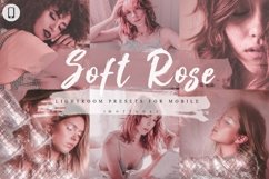 14 Soft Rose Mobile Lightroom Presets Product Image 1
