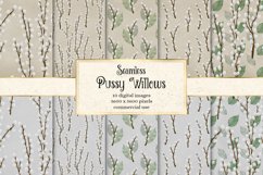 Pussy Willow Digital Paper Product Image 1