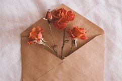 Rose flowers in envelope Product Image 1