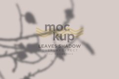 Leaves Shadow Overlay Effect Mockup Product Image 1