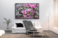 Nature photo, floral photo, spring photo, magnolia photo Product Image 3