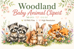 Woodland Baby Animal Clipart PNG, Cute Watercolor Forest Product Image 1