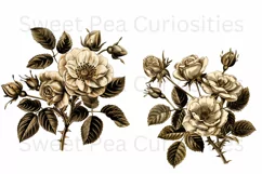 Flowers, Ephemera, PNG, Junk Journal, Vintage, clipart Product Image 2