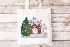 Christmas Gnome with igloo. Xmas Machine Embroidery Product Image 2