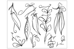 Set of line sketches of green peas, flowers and leaves Product Image 1