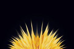 Blending_Flower_Illustration_01 Product Image 2