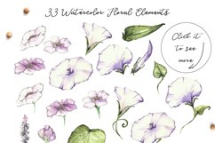 Watercolor flower Clip Art â€“ Morning-Glory Product Image 10