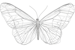 Curved Lines Butterfly Background Wallpaper Product Image 1