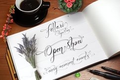 Web Font Cityallir Script Product Image 7