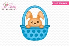 Boy Bunny in Basket printable sublimation design Product Image 1