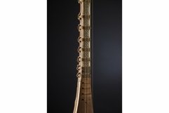 Fretboard of an ancient Asian stringed musical instrument Product Image 1