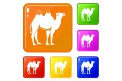 Camel icons set vector color Product Image 1