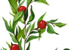 Watercolor Physalis Clip Art Product Image 4