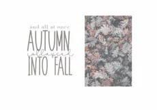 November - A Tall Handwritten Font - Free Font of The Week Product Image 7