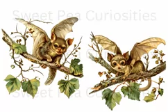 Flying Bat, Ephemera, PNG, Junk Journal, Vintage, clipart Product Image 2