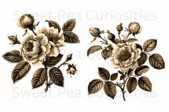 Flowers, Ephemera, PNG, Junk Journal, Vintage, clipart Product Image 3