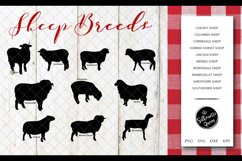 Sheep Breeds Silhouette Vector svg file, sheep svg cut file Product Image 1