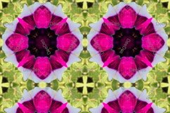 12 abstract Seamless colorful FLOWER patterns pack. Product Image 2