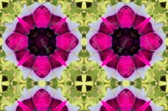 12 abstract Seamless colorful FLOWER patterns pack. Product Image 2