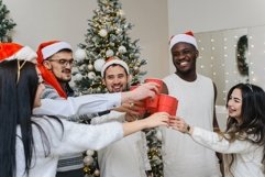 Multiethnic friends clink glasses and celebrate christmas Product Image 1