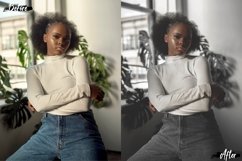 7 Minimal Grey Lightroom Presets Product Image 2