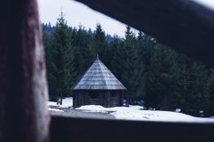 Abandoned old wooden house in the forest. Product Image 1