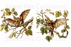 Flying Bat, Ephemera, PNG, Junk Journal, Vintage, clipart Product Image 3