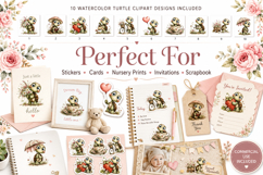 Cute Turtle Watercolor Clipart Bundle, Whimsical Turtle PNG Product Image 3