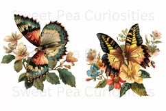 Butterfly, Ephemera, PNG, Junk Journal, Vintage, clipart Product Image 2