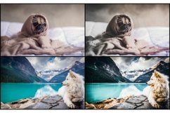 40 Wildlife Lightroom Presets Product Image 2