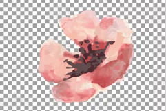 Burgundy and coral pink watercolor floral wedding clip art, Product Image 12
