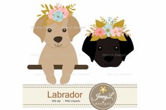 Labrador Dogs Digital Papers and Clipart Product Image 4