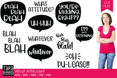 What Attitude? Bundle Product Image 1