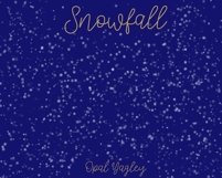 Snow Procreate Brushes / Winter/ Christmas Product Image 2