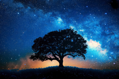 Tree at Night Background Wallpaper Product Image 1