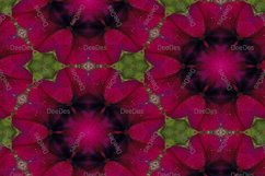 12 abstract Seamless colorful FLOWER patterns pack. Product Image 7