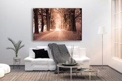 Nature photo, landscape photo, autumn alley photo, Product Image 2